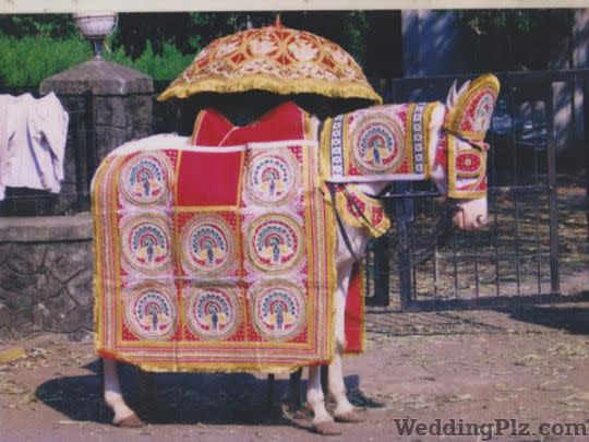 Ravi Brass Band Bands weddingplz
