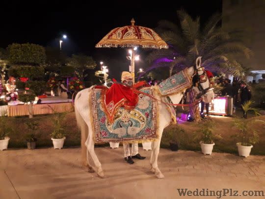 Anuj Band and Ajay Dhol Bands weddingplz