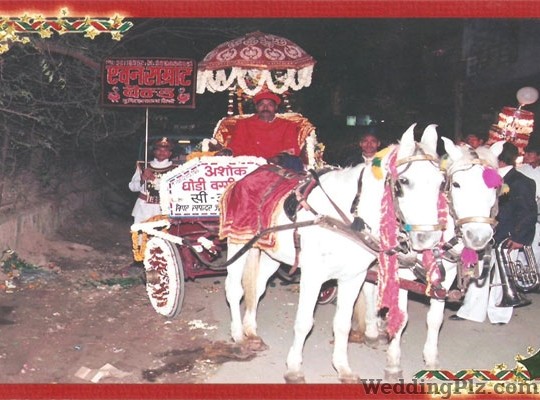 A One Samrat Band Bands weddingplz
