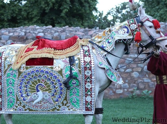 A One Samrat Band Bands weddingplz