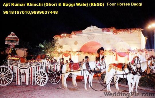 Ajit Kumar Khinchi Ghodi And Baggi Band Wala Bands weddingplz