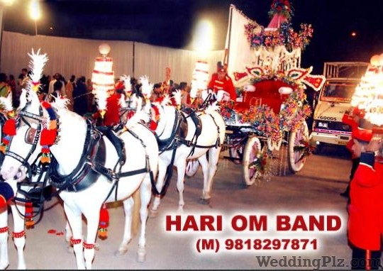 Hari Om Band Bands weddingplz