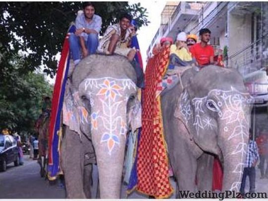 Shiv Ganesh Band Bands weddingplz