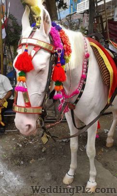 Shiv Pawan Band Bands weddingplz