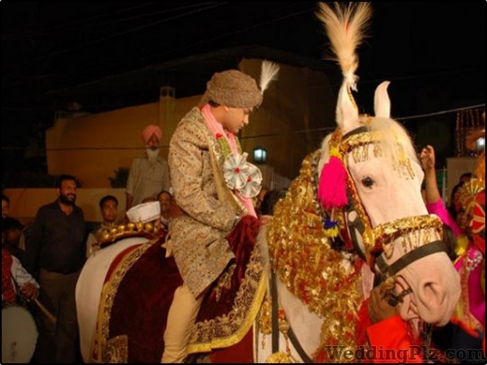 Sindhi Hiranand Ghoriwala Bands weddingplz