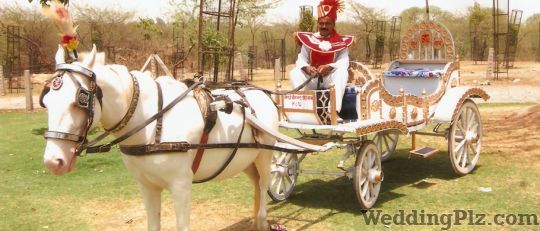 Sindhi Hira Nand Ghori Wala Bands weddingplz