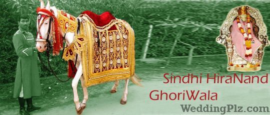 Sindhi Hira Nand Ghori Wala Bands weddingplz