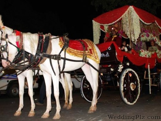 Vikas Band Bands weddingplz