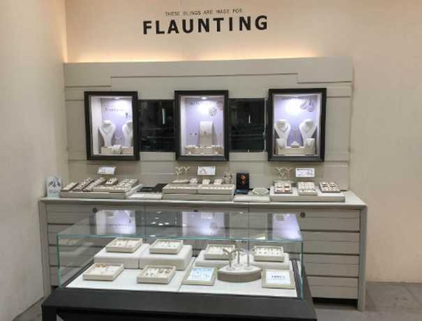 Portfolio Images CaratLane Store Industrial Area Chandigarh