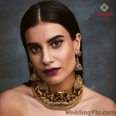 Amrapali Jewels Jewellery weddingplz