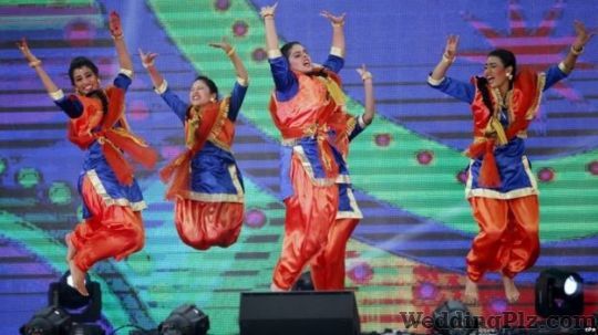 Shree Shiv Shakti Sewa Mandal Delhi Live Performers weddingplz