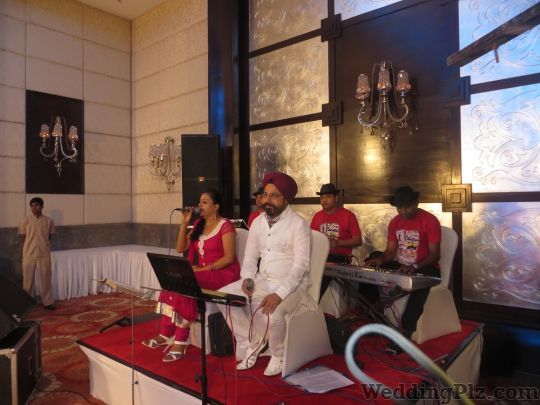 Kripa Entertainment Live Performers weddingplz