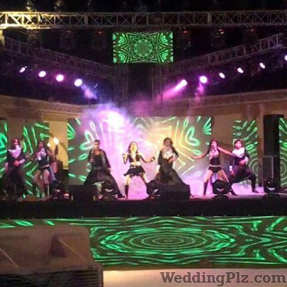 Hot Crazy Events and Entertainment Live Performers weddingplz