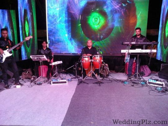 Hot Crazy Events and Entertainment Live Performers weddingplz