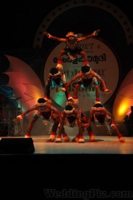 LiveOnStage Entertainment Private Limited Live Performers weddingplz