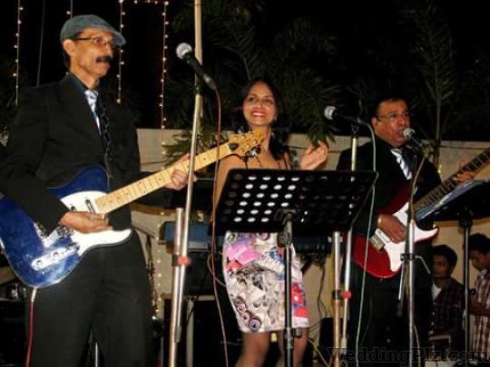 Falcon Blues Live Band Live Performers weddingplz