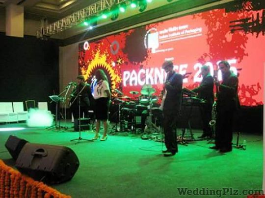 Falcon Blues Live Band Live Performers weddingplz