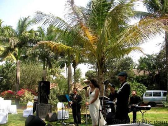 Falcon Blues Live Band Live Performers weddingplz