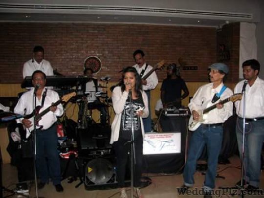 Falcon Blues Live Band Live Performers weddingplz
