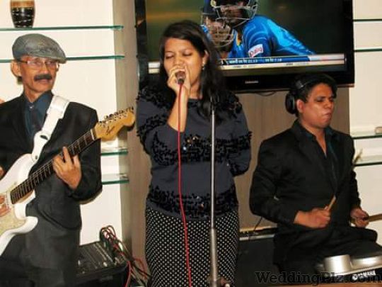 Falcon Blues Live Band Live Performers weddingplz