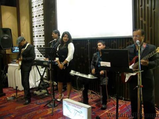 Falcon Blues Live Band Live Performers weddingplz