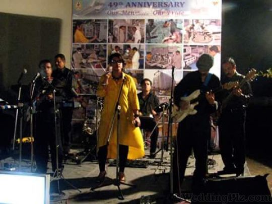 Falcon Blues Live Band Live Performers weddingplz