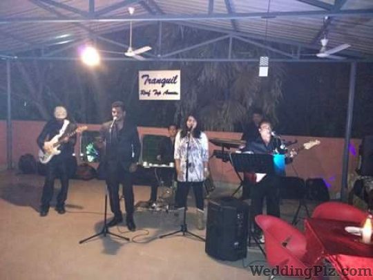 Falcon Blues Live Band Live Performers weddingplz