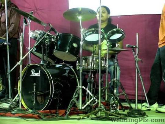 Falcon Blues Live Band Live Performers weddingplz