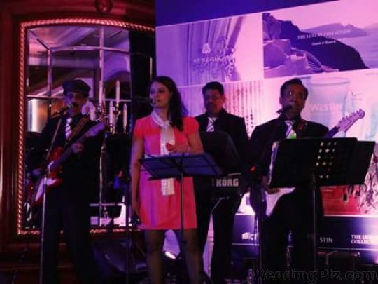Falcon Blues Live Band Live Performers weddingplz