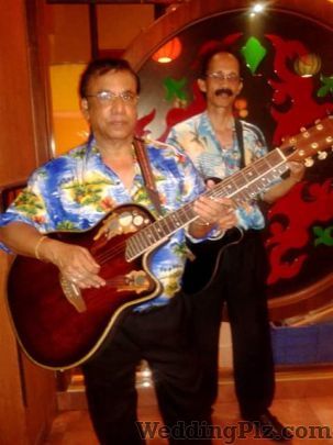 Falcon Blues Live Band Live Performers weddingplz