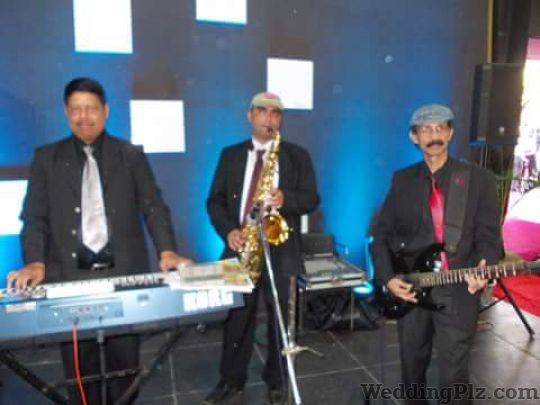 Falcon Blues Live Band Live Performers weddingplz