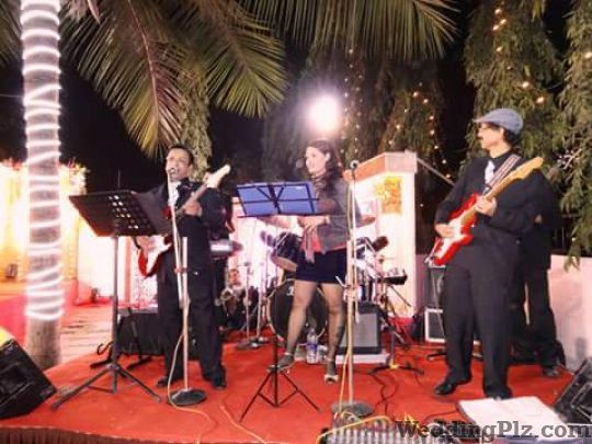 Falcon Blues Live Band Live Performers weddingplz