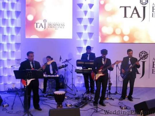 Falcon Blues Live Band Live Performers weddingplz