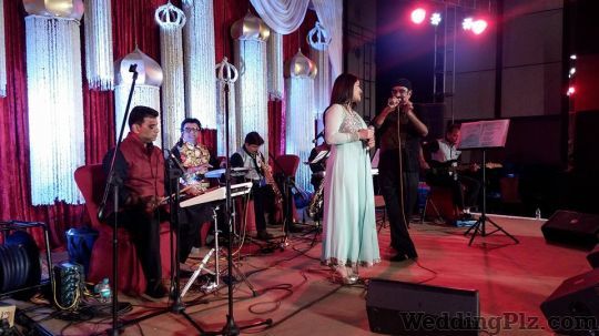 Rajendra Gadhavi Live Performers weddingplz