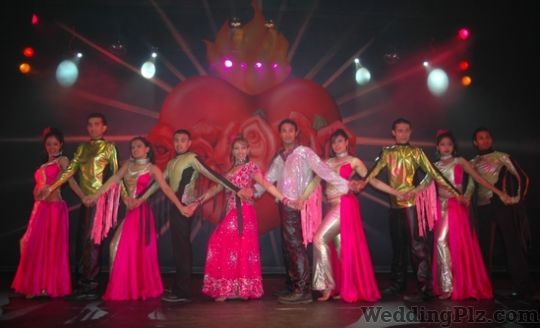 Satish Dehra Live Performers weddingplz