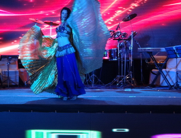 Entertainment Planets Live Performers weddingplz