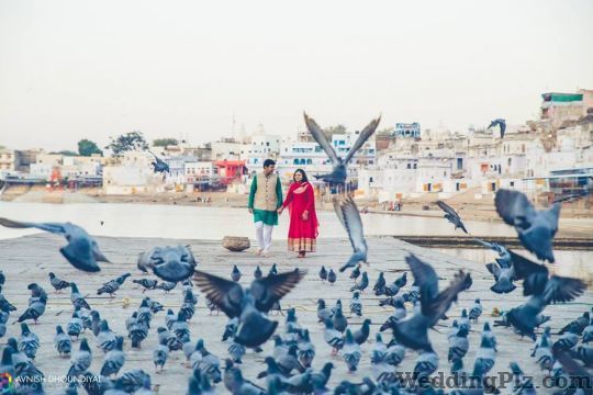 Avnish Dhoundiyal Photography Photographers and Videographers weddingplz
