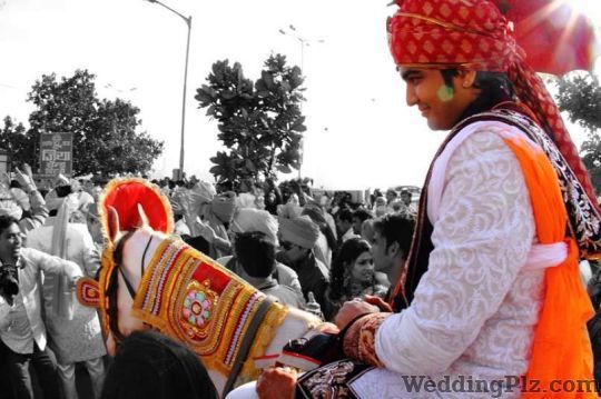 Light and Vision Photography Photographers and Videographers weddingplz