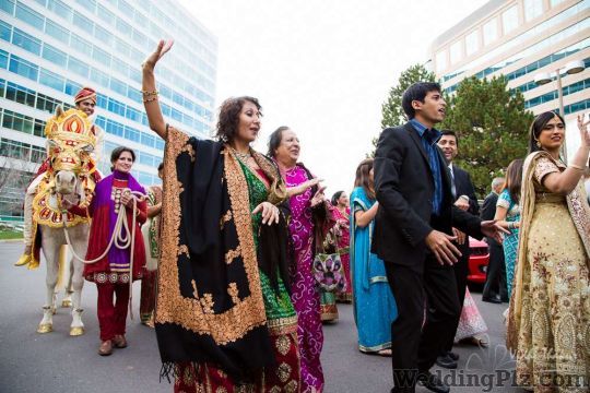 Vidhi and Tushar Photography Photographers and Videographers weddingplz