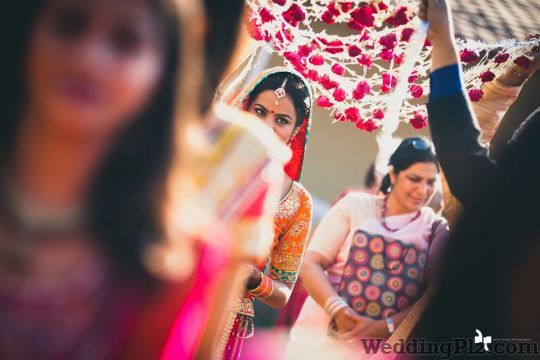 Akhil Singh Photography Photographers and Videographers weddingplz