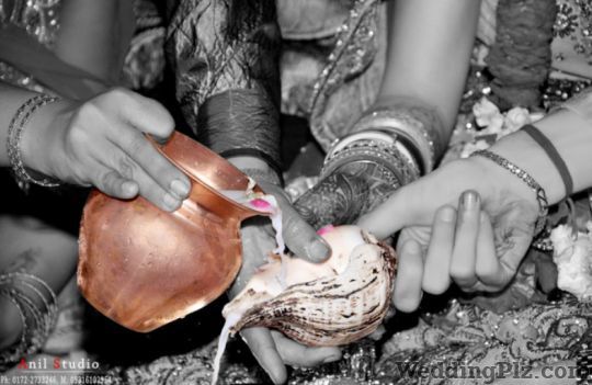 Anil Studio Photographers and Videographers weddingplz