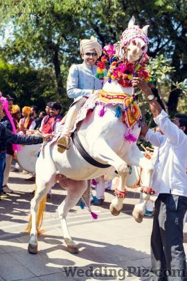Dream Diaries Photographers and Videographers weddingplz