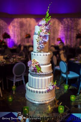 Going Bananas Photography Photographers and Videographers weddingplz