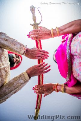 Going Bananas Photography Photographers and Videographers weddingplz
