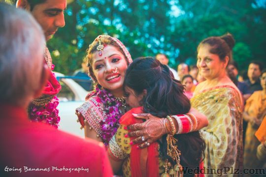Going Bananas Photography Photographers and Videographers weddingplz