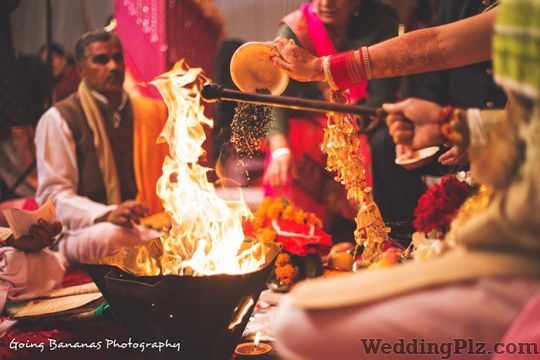 Going Bananas Photography Photographers and Videographers weddingplz