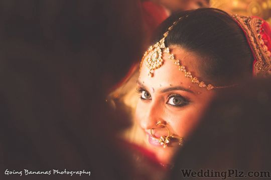 Going Bananas Photography Photographers and Videographers weddingplz