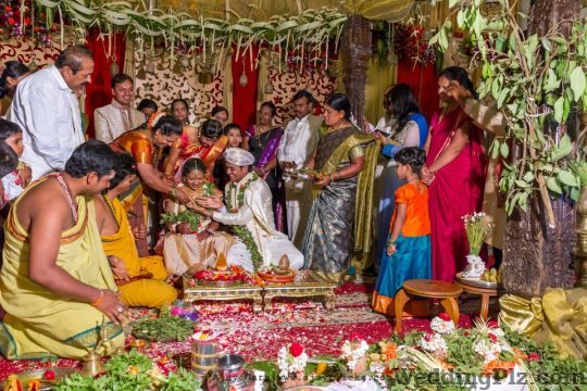 Ajay Garg Photography Photographers and Videographers weddingplz