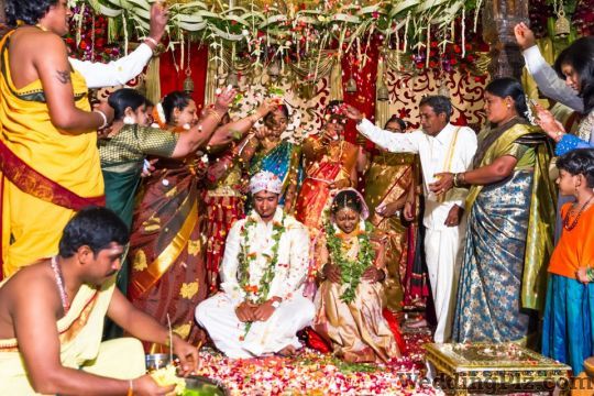 Ajay Garg Photography Photographers and Videographers weddingplz
