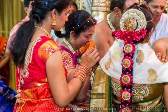 Ajay Garg Photography Photographers and Videographers weddingplz
